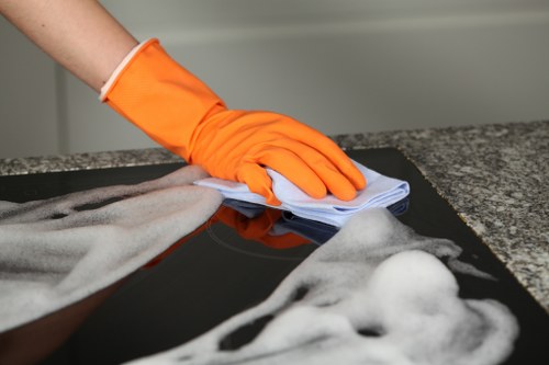 Professional cleaner in Bermondsey providing domestic cleaning service