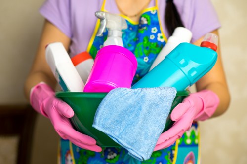 Professional carpet cleaner in Bermondsey cleaning a living room carpet