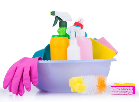 Bermondsey Carpetcleaning team introducing professional carpet care