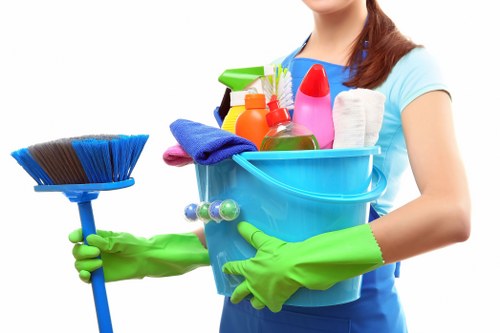 Inclusive design concept for Bermondsey carpet cleaning website