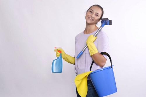 Professional carpet cleaning process in a Bermondsey property