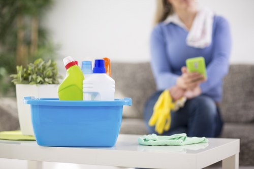 Detailed carpet cleaning process in Bermondsey