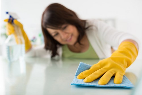 Deep upholstery cleaning service for a sofa in Bermondsey