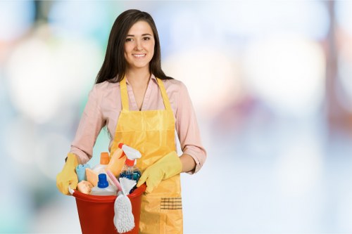 Accessibility support message for Bermondsey Carpetcleaning