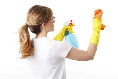 Deep upholstery cleaning service for a living room sofa