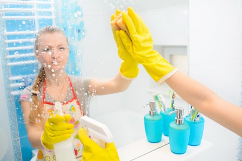 Kitchen appliance and surface cleaning at the end of a tenancy
