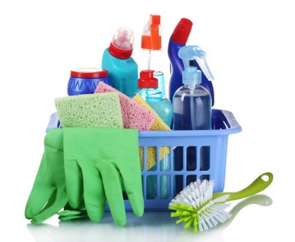 Eco-friendly carpet cleaning equipment used in Bermondsey properties