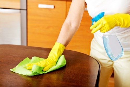 Deep cleaning a kitchen in Bermondsey