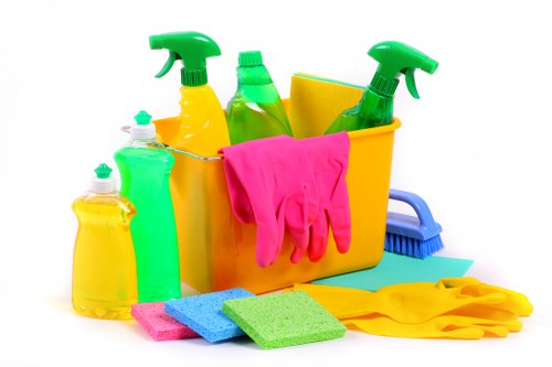 Bermondsey deep clean service for a bright and tidy apartment